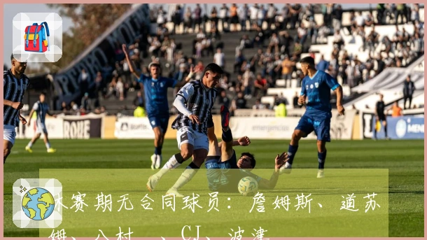 休赛期无合同球员：詹姆斯、道苏姆、八村塁、CJ、波津